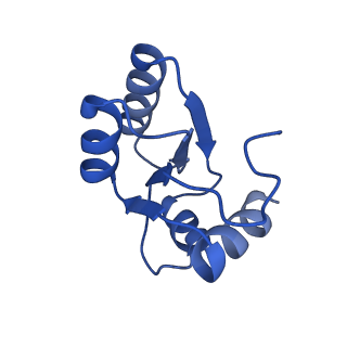 26444_7ucj_c_v1-0
Mammalian 80S translation initiation complex with mRNA and Harringtonine