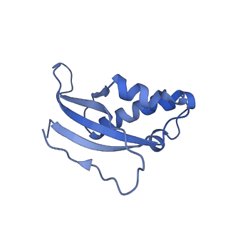 26444_7ucj_d_v1-0
Mammalian 80S translation initiation complex with mRNA and Harringtonine