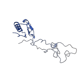 26444_7ucj_e_v1-0
Mammalian 80S translation initiation complex with mRNA and Harringtonine