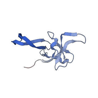 26444_7ucj_f_v1-0
Mammalian 80S translation initiation complex with mRNA and Harringtonine