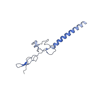 26444_7ucj_g_v1-0
Mammalian 80S translation initiation complex with mRNA and Harringtonine
