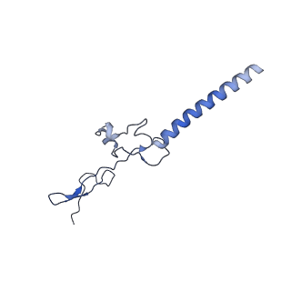 26444_7ucj_g_v2-1
Mammalian 80S translation initiation complex with mRNA and Harringtonine