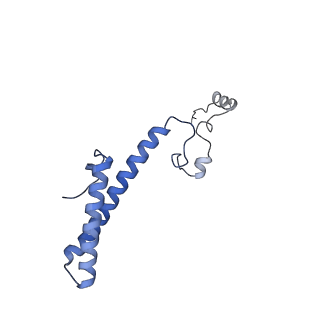 26444_7ucj_h_v1-0
Mammalian 80S translation initiation complex with mRNA and Harringtonine