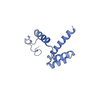 26444_7ucj_i_v1-0
Mammalian 80S translation initiation complex with mRNA and Harringtonine