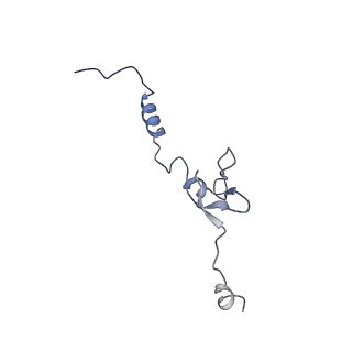 26444_7ucj_j_v1-0
Mammalian 80S translation initiation complex with mRNA and Harringtonine