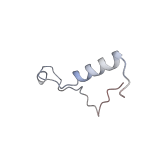26444_7ucj_l_v1-0
Mammalian 80S translation initiation complex with mRNA and Harringtonine