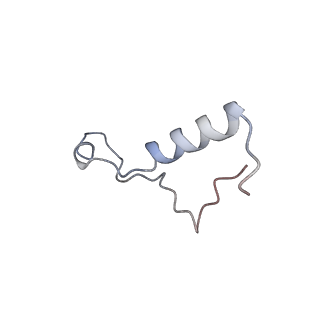 26444_7ucj_l_v2-1
Mammalian 80S translation initiation complex with mRNA and Harringtonine