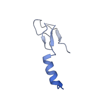 26444_7ucj_m_v1-0
Mammalian 80S translation initiation complex with mRNA and Harringtonine