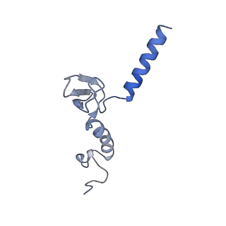 26444_7ucj_p_v1-0
Mammalian 80S translation initiation complex with mRNA and Harringtonine