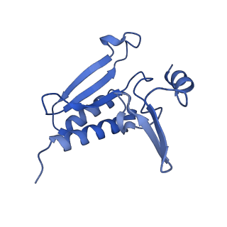 26444_7ucj_r_v1-0
Mammalian 80S translation initiation complex with mRNA and Harringtonine