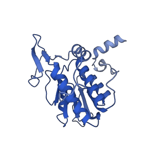 26445_7uck_AA_v1-3
80S translation initiation complex with ac4c(-1) mRNA and Harringtonine