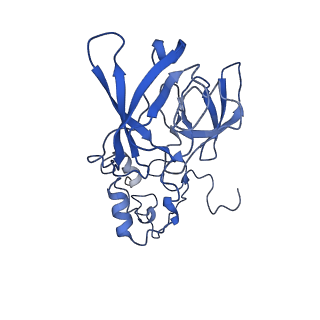 26445_7uck_A_v1-3
80S translation initiation complex with ac4c(-1) mRNA and Harringtonine