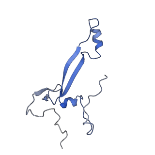 26445_7uck_Aa_v1-3
80S translation initiation complex with ac4c(-1) mRNA and Harringtonine