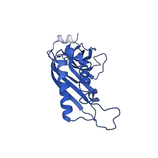 26445_7uck_BB_v1-3
80S translation initiation complex with ac4c(-1) mRNA and Harringtonine