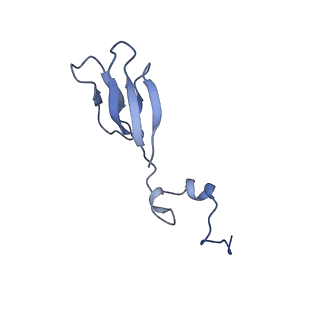 26445_7uck_Bb_v1-3
80S translation initiation complex with ac4c(-1) mRNA and Harringtonine