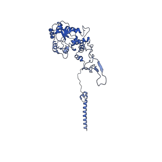 26445_7uck_C_v1-3
80S translation initiation complex with ac4c(-1) mRNA and Harringtonine
