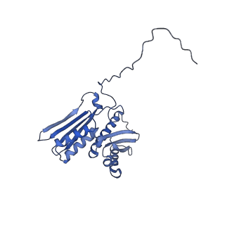 26445_7uck_DD_v1-3
80S translation initiation complex with ac4c(-1) mRNA and Harringtonine