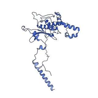 26445_7uck_D_v1-3
80S translation initiation complex with ac4c(-1) mRNA and Harringtonine