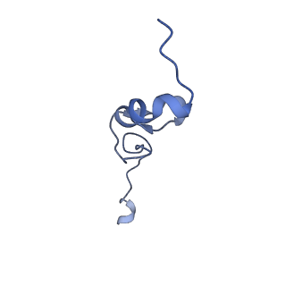 26445_7uck_Dd_v1-3
80S translation initiation complex with ac4c(-1) mRNA and Harringtonine