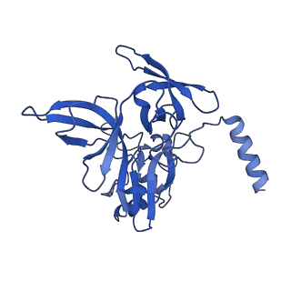 26445_7uck_EE_v1-3
80S translation initiation complex with ac4c(-1) mRNA and Harringtonine