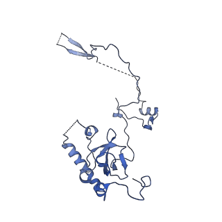 26445_7uck_E_v1-3
80S translation initiation complex with ac4c(-1) mRNA and Harringtonine