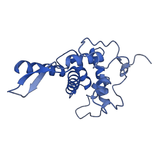 26445_7uck_FF_v1-3
80S translation initiation complex with ac4c(-1) mRNA and Harringtonine