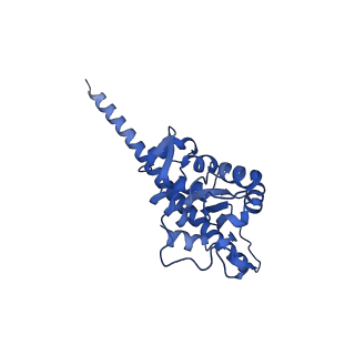 26445_7uck_F_v1-3
80S translation initiation complex with ac4c(-1) mRNA and Harringtonine