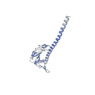 26445_7uck_GG_v1-3
80S translation initiation complex with ac4c(-1) mRNA and Harringtonine