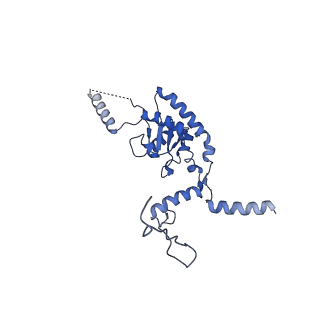 26445_7uck_G_v1-3
80S translation initiation complex with ac4c(-1) mRNA and Harringtonine