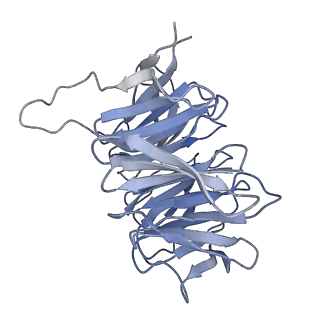 26445_7uck_Gg_v1-3
80S translation initiation complex with ac4c(-1) mRNA and Harringtonine