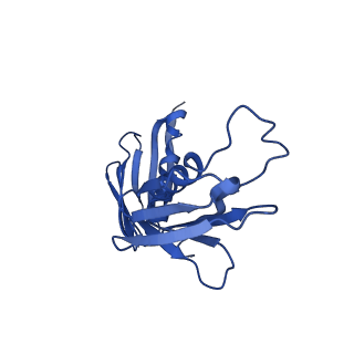 26445_7uck_H_v1-3
80S translation initiation complex with ac4c(-1) mRNA and Harringtonine