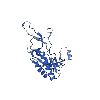 26445_7uck_I_v1-3
80S translation initiation complex with ac4c(-1) mRNA and Harringtonine