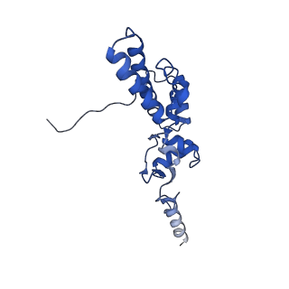 26445_7uck_JJ_v1-3
80S translation initiation complex with ac4c(-1) mRNA and Harringtonine