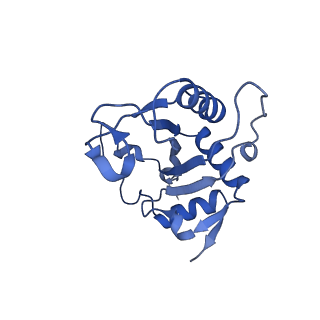 26445_7uck_J_v1-3
80S translation initiation complex with ac4c(-1) mRNA and Harringtonine
