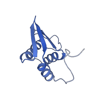 26445_7uck_KK_v1-3
80S translation initiation complex with ac4c(-1) mRNA and Harringtonine