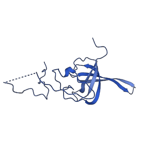 26445_7uck_LL_v1-3
80S translation initiation complex with ac4c(-1) mRNA and Harringtonine