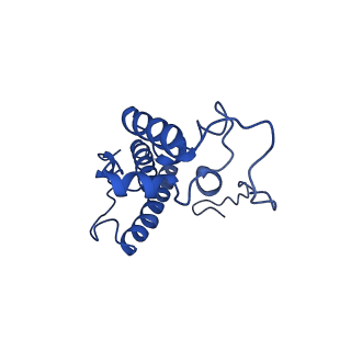 26445_7uck_NN_v1-3
80S translation initiation complex with ac4c(-1) mRNA and Harringtonine