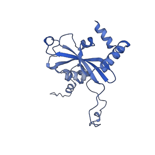 26445_7uck_N_v1-3
80S translation initiation complex with ac4c(-1) mRNA and Harringtonine