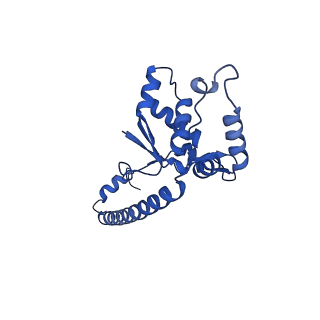 26445_7uck_O_v1-3
80S translation initiation complex with ac4c(-1) mRNA and Harringtonine