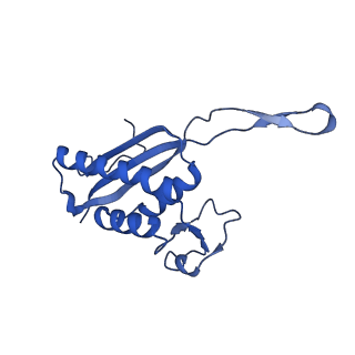 26445_7uck_P_v1-3
80S translation initiation complex with ac4c(-1) mRNA and Harringtonine