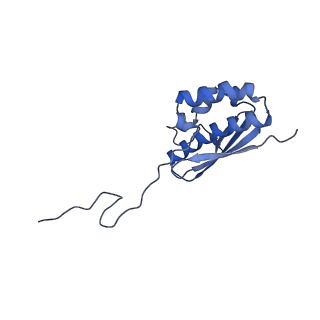 26445_7uck_QQ_v1-3
80S translation initiation complex with ac4c(-1) mRNA and Harringtonine