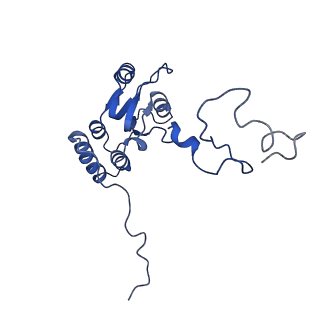26445_7uck_Q_v1-3
80S translation initiation complex with ac4c(-1) mRNA and Harringtonine