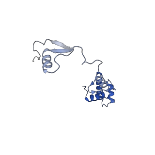 26445_7uck_RR_v1-3
80S translation initiation complex with ac4c(-1) mRNA and Harringtonine