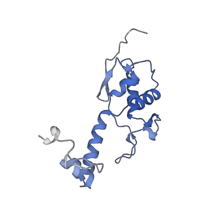 26445_7uck_SS_v1-3
80S translation initiation complex with ac4c(-1) mRNA and Harringtonine