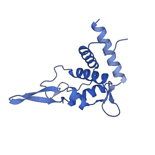 26445_7uck_TT_v1-3
80S translation initiation complex with ac4c(-1) mRNA and Harringtonine