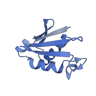 26445_7uck_U_v1-3
80S translation initiation complex with ac4c(-1) mRNA and Harringtonine