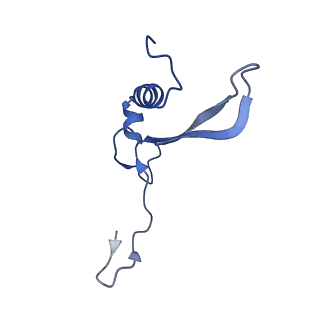 26445_7uck_VV_v1-3
80S translation initiation complex with ac4c(-1) mRNA and Harringtonine