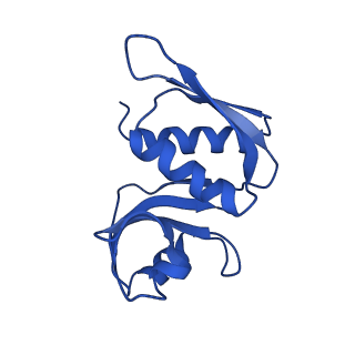 26445_7uck_WW_v1-3
80S translation initiation complex with ac4c(-1) mRNA and Harringtonine