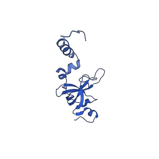 26445_7uck_XX_v1-3
80S translation initiation complex with ac4c(-1) mRNA and Harringtonine