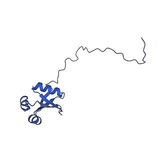 26445_7uck_X_v1-3
80S translation initiation complex with ac4c(-1) mRNA and Harringtonine